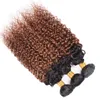 4 SZTUK Human Włosów Ombre Wiązki Splot Kinky Kręcone Brazylijski Dziewiczy Włosy T 1B 30 Dwa Tone Color Ombre Średniej Auburn Hair Extension