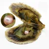 2018 NYHET 1PC 6-7mm Round Variety Good of Color Seawater Pearl Oysters Individuellt Vacuum Pack Fashion Trend Gift Surprise Shell