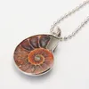 Collier de fossiles d'ammonite Collier de tourbillon Ammonite Snail Snail Amonite Jewelry Fossils Bohemian9636803