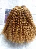 ブラジル人の人間の処女のレミークリップインヘアエクステンションダークブロンドの髪の緯糸のヒト変態巻き毛の伸びの二重描かれた厚い太い