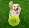 dog big balls