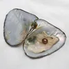 2020 New Akoya Perlen Oyster oval 6-7mm Farben Süßwasser natürliche Cultured in frische Auster Flussperlmuschel Farm Supply Großhandel