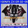 Injektion för Kawasaki ZX1200 ZX 12R 2002 2003 2004 2005 2006 224HM.29 ZX-12R 12 R 1200cc ZX12R 02 03 04 05 06 Glansig grön fairing