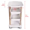 Elitzia ETTRO5 Beauty Salon Furniture Trolley Spa Styling Pedestal Rolling Cart Two Shelf Abs Aluminum USA Stock