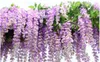 Décoration de mariage Fleurs de lierre artificielles avec feuille Soie Wisteria Fleur de vigne Rotin pour centres de table de mariage Bouquet Guirlande Maison