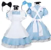 Costume adulto Alice nel Paese delle Meraviglie Cosplay Donna Ragazza Cameriera Costume Lolita