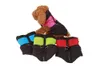 CALDO! Gilet impermeabile per cani da compagnia Cappotto caldo invernale Pet Dog Cat Puppy Giacca spessa Abbigliamento Abbigliamento per cani di taglia piccola, media e grande