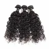 LANS Brazilian Remy Hårbunt Vattenvåg Mänskligt hår 6 Bundlar Lot Waters Vågigt Human-Hair Weave Extensions 50g / st