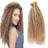 Bundles de cheveux humains vierges péruviens Afro Kinky 27 613 Brown et Blonde 3 Bundles Mélange de cheveux Offres d'extension de cheveux de piano