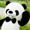 Dorimytrader Jumbo Bonito Panda Sorridente Brinquedo de Pelúcia Animal Gigante Pandas Recheado Crianças Brincam Boneca Grande Presente 55 polegadas 140 cm DY614068068417