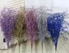 10pcs Artificial Glitter Powder Juncus effusus Acessórios Arranjo Grama por flor para casa casamento decoração de jardim
