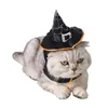 1pc Cat Halloween Cosplay Fancy Dress Magic Black Wizard / Witch's Hat + Scraf Set Halloween husdjursdräkter