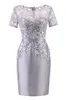 Silver Grey Short Party Dresses 2018 New Lace Top Short Sleeves Fashion Cocktail Dress Billiga riktiga PO i stock7977170