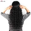 Brasilianska Virgin Hair Water Wave 3 buntar våt och vågigt Virgin Brasilianska Human Hair Buntlar Malaysiska Curly Weave Hair Extensions