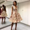Short Knee Length Prom Dresses Sheer Deep V Neck Backless 3D Floral Appliqued Lace Formal Evening Gowns A Line Party Dress