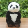 mini panda
