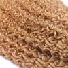 Jordgubb Blondin mörk rot Kinky Curly Hair Extension Afro Kinky Human Hair Weaves Brazilian Virgin Hair Weaves 3pcs / Lot