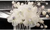 Bridal Hair Combs for Bride Pearls Crystal Bridal Hairbands Wedding Veil Dress Comb Bridal Headpieces Silk Flower Headdress Hair A6010580