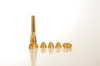 محترف 6 PCS SEGE SIZE 2A 2B 3A 3B SMALL BB TRUMBET SILPLIST و GOLD SUPRE