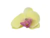 200 st 5 cm hög simulering växt mini fjäril orkidéhuvuden brud bröllop dekoration diy infoga blomma huvudblomma