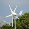 500 W 12V / 24 V 3/5 Ostrza do domu mieszkaniowy Niski uruchamianie turbiny wiatrowej Generator ładowarki PWM Controller