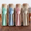 New Design Portable Wheat Straw Spoon Fork Chopsticks Set Tableware Eco-friendly 4 Colors Reusable Wheat Straw Travel Camping Cutlery Set