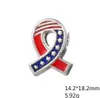 pandora flag charm