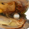 Großhandel AAAA6-7mm vakuumverpackte Süßwasserperle Auster, Perlenfarbe ist 19# naturweiß (kostenloser Versand per DHL)