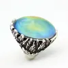 Ny design Kvinnor Lucky Gift Emotion Känsla Big Oval Stone Mood Ring Partihandel MJ-RS057