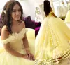 Arabische Dubai baljurk Quinceanera dresse 3D bloemen applique prom jurken avond feestjurken off-shouder formele gelegenheid beroemdheid jurken