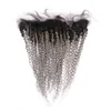 # 1B / Gris Ombre Vierge Brésilienne Trames de Cheveux Humains avec Dentelle Frontale Crépus Bouclés Ombre Gris Argent 3Bundles avec Fermeture Frontale en Dentelle 13x4