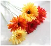 Silk Transvaal Daisy 23Colors Barberton Daisy Artificial Flower Sun Flower For Wedding/Home/Party Decoration GF10004