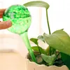 Practical Automatic Control Plant Watering Equipment Glass Bulb Watering Decorative Garden Houseplant Water Drip Tool