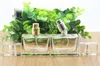 20PCS 30ML Glass Perfume Spray Bottles Portable Transparent Spray Bottls with Refillable Perfume Atomizer Bulk Stock