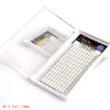 C/D Curl Tray 10/12/14mm Thickness 0.07mm Individual Volume Flare Eyelash Extension 3D/4D/5D Bella Hair