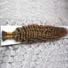 Kinky Curly I Wskazówka Przedłużanie Human 100g Human On Capsule Prawdziwe włosy 100s Pre Bonded Keratyn Stick Tip Extensions