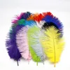 13 Colors 6~8" Ostrich Feathers Party Decoration Wedding Centerpieces Kitchen Accessories Home Decor Women Cloth Accessories Party Supplies