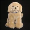 Söt hund plysch leksak realistisk djur gyllene retriever valp labrador hund dockor kudde födelsedaggåva för barn 35x27cm dy50381
