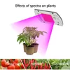 10ピース全体のスペクトルLED成長ライトチップDIY 220V AC COB 380~780nmアクチトラブルパワー20W 30W 50Wの屋内植物の日光を置き換えます