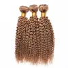 # 27 Honing Blonde Kinky Krullend Menselijk Haar 3 Bundels Braziliaanse Maleisische Peruaanse Maagd Krullend Menselijk Haar Weave 3 Stks WEFT-verlenging 10-26 inch