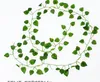 2 metri piccole foglie verdi di Parthenocissus lascia simulazione simulazione falsa edera verde vite fiore simulazione L088