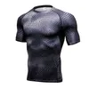 Hot New Short Manga Sportings Camisa Dos Homens Rápidos Dos Homens Runnings Dos Homens camisetas Snake Gyms Vestuário Fitness Top Homens Rashgard Jersey