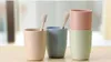 4PCS/PACK Multicolor Biodegradable Unbreakable Wheat Straw Water Cup Mug Tumblers for Coffee, Tea, Water, Milk, Juice