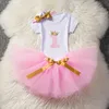 Baby-erste Geburtstags-Outfits Tutu Tulle 1 Jahr-Party Kommunion Kleinkind Taufkleid Fluffy rosa Geburtstags-Baby Kleider 1 Jahr Kleidung Anzug