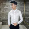2017 Moda Kore Slim Fit Erkek Dantel Gömlek Uzun Kollu Erkekler Elbise Gömlek Casual Tasarımcı Giysileri Siyah Beyaz, M-XXL,