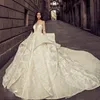 Fantastisk spetsbollklänning bröllopsklänning se genom långärmad applique ren backless brudklänning glamorös sexig lång tågbröllopsklänning