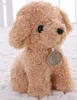 20CM petit chiot en peluche chiens en peluche jouet blanc orange marron brun clair poupées douces bébé enfants jouets pour enfants cadeaux de fête d'anniversaire 2119776