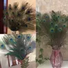 Piume di pavone naturali di alta qualità 70-80 cm Piuma dagli occhi grandi Utilizzata per la festa nuziale Decorazioni per la casa Artigianato fai-da-te