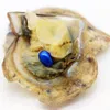 2018 Sommarförsäljning Färskvatten Deep Blue Loose Färging DIY Pearl Mystery Gift i Salt Oyster Shell Smycken