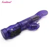 Delfino Dildo Vibratore Prodotti per adulti Stimolatore del clitoride multi-velocità Giocattoli del sesso Massaggiatore G-Spot a doppia vibrazione per le donne ZG0044 Y18100802